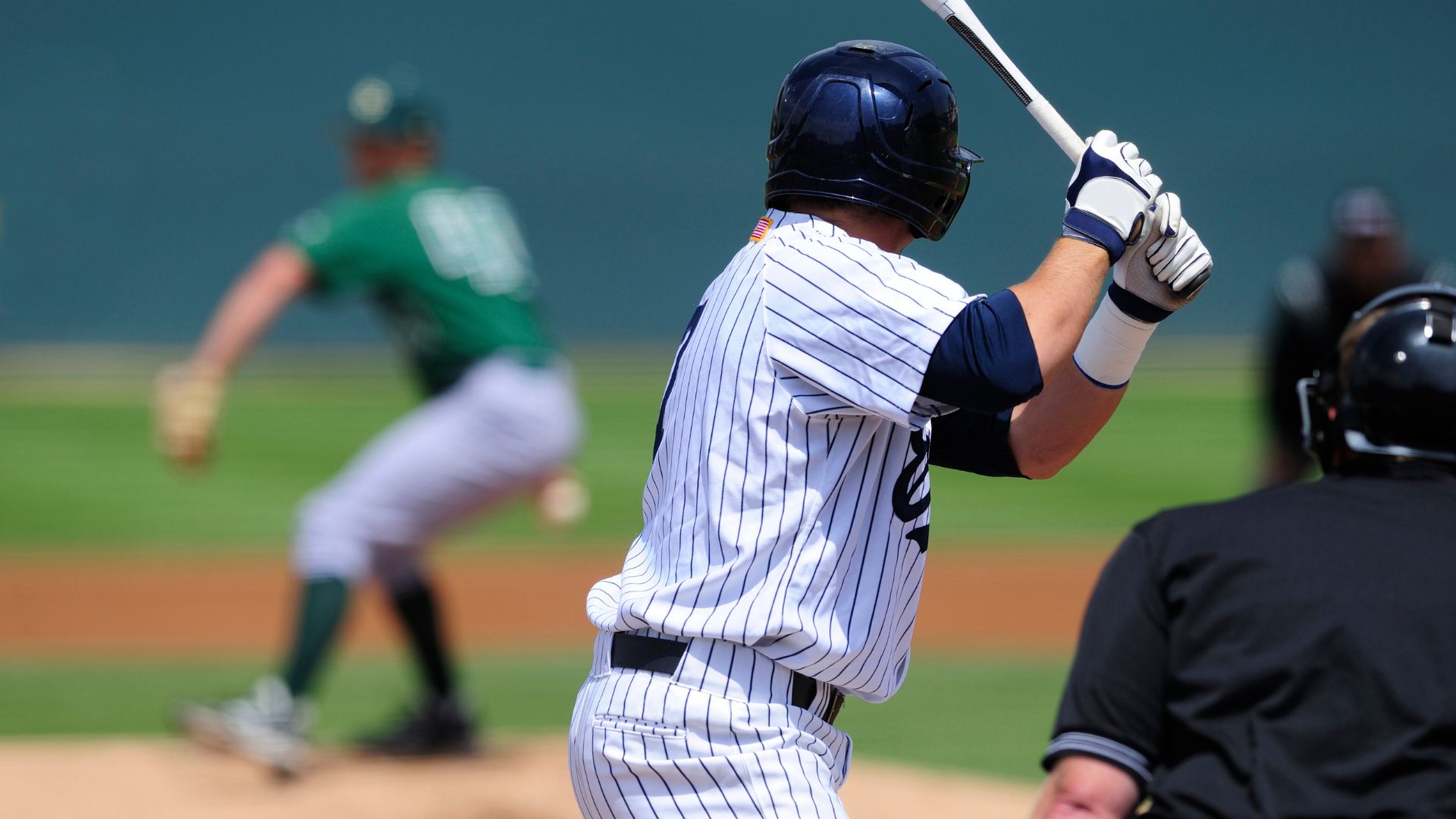 Professional Baseball Coach